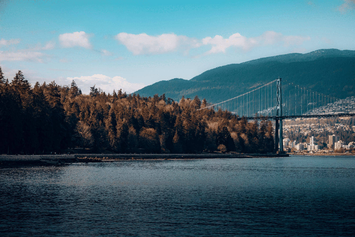 North Vancouver Home Prices 2026: Asking Prices After a 2025 Peak