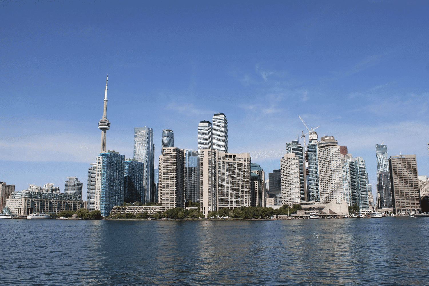 Toronto Condo and Apartment Rent Trends: August 2026